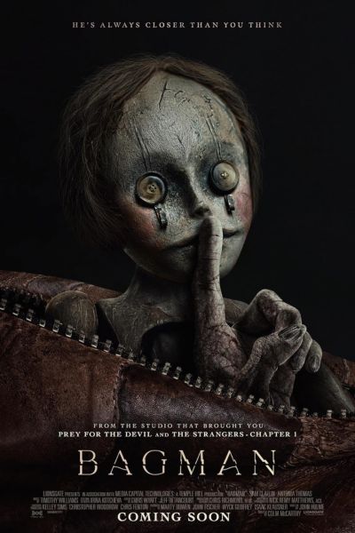Download Bagman (2024) Dual Audio {Hindi-English} BluRay 480p | 720p | 1080p