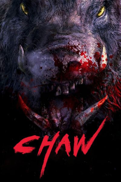 Download Chaw (2009) Dual Audio {Hindi-Chinese} 480p | 720p