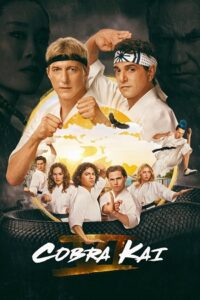 Download Cobra Kai (2024-2025) Season 6 (Part 1 – 2 – 3) Dual Audio {Hindi-English} WEB-DL 480p | 720p | 1080p