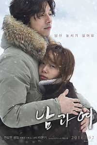 Download A Man and A Woman (2016) Dual Audio (Hindi-English) 480p | 720p