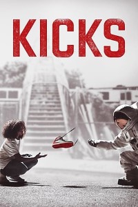 Download Kicks (2016) Dual Audio {Hindi-English} 480p | 720p