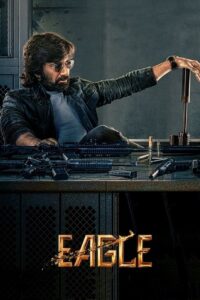 Download Eagle (2024) Dual Audio [Hindi DD2.0 + Telugu] WEB-DL Full Movie 480p | 720p | 1080p