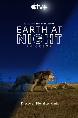 Download Earth at Night in Color (Season 1 – 2) Dual-Audio {Hindi-English} Apple TV+ WEB-DL 720p