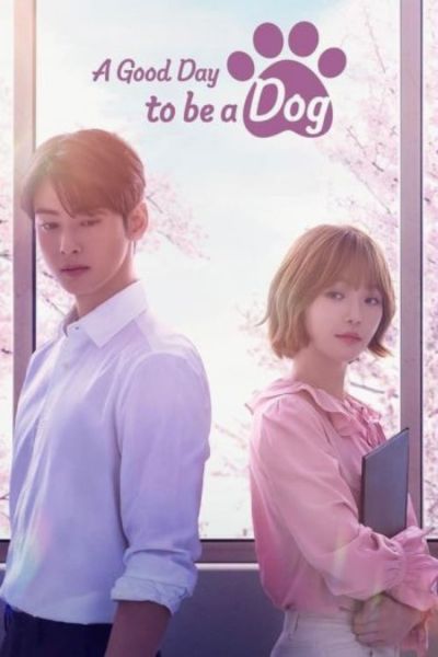 Download A Good Day to be a Dog (Season 1) (Korean with Subtitle) WeB-DL 720p | 1080p