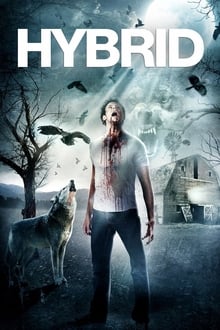 Download Hybrid (2007) Dual Audio (Hindi-English) 720p