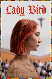 Download Lady Bird (2017) Dual Audio {Hindi-English} Esub Bluray 480p | 720p