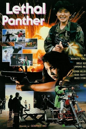 Download Lethal Panther (1990) BluRay Dual Audio {Hindi-English} 480p | 720p | 1080p
