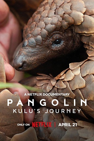 Download Pangolin: Kulu’s Journey (2025) WEB-DL Dual Audio {Hindi-English} 480p | 720p | 1080p