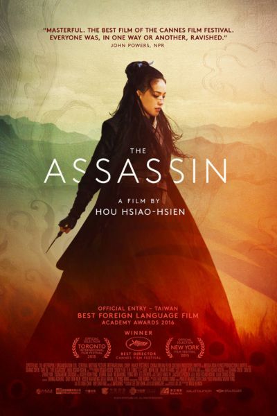 Download The Assassin (2015) Dual Audio (Hindi-English) 480p | 720p