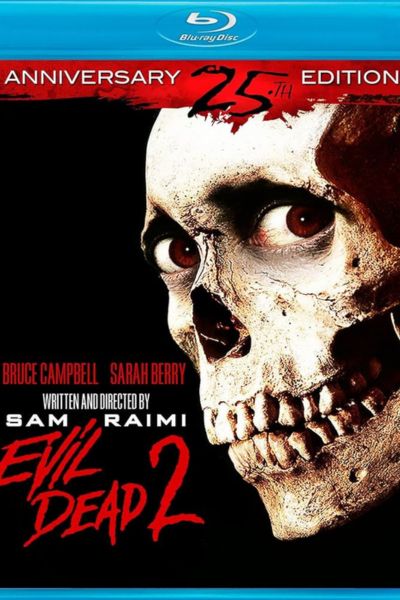 Download The Evil Dead II (1987) {Hindi-English-Tamil-Telugu} 480p | 720p