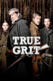 Download True Grit (2010) Dual Audio {Hindi-English} 480p | 720p